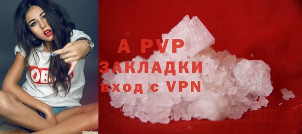 spice Усинск