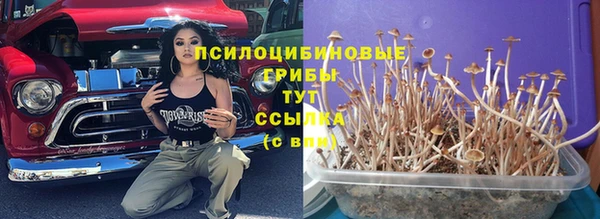 2c-b Алексин