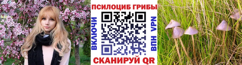 Псилоцибиновые грибы мицелий shop клад Невинномысск цены ссылка на мегу зеркало